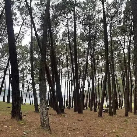 Rio Anllons 아파트 Ponteceso